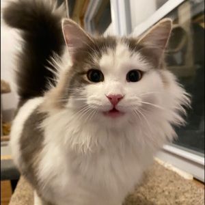 Meet your Posher, Vickie